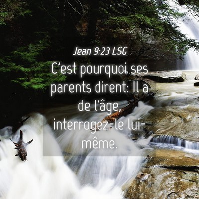 Picture 04 - Jean 9:23 LSG - C'est pourquoi ses parents dirent: Il a de - Bible Verse Picture