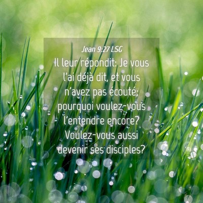 Picture 04 - Jean 9:27 LSG - Il leur répondit: Je vous l'ai déjà dit, et - Bible Verse Picture