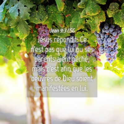 Picture 04 - Jean 9:3 LSG - Jésus répondit: Ce n'est pas que lui ou ses - Bible Verse Picture