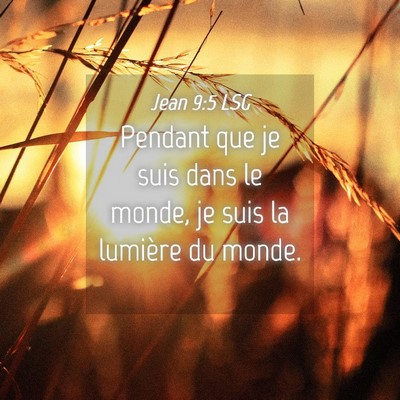 Picture 04 - Jean 9:5 LSG - Pendant que je suis dans le monde, je suis la - Bible Verse Picture
