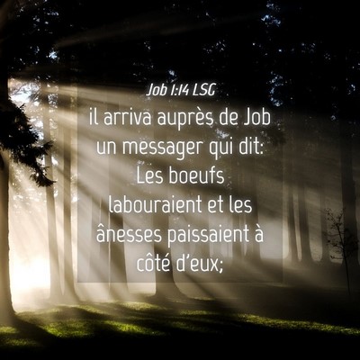 Picture 04 - Job 1:14 LSG - il arriva auprès de Job un messager qui dit: Les - Bible Verse Picture