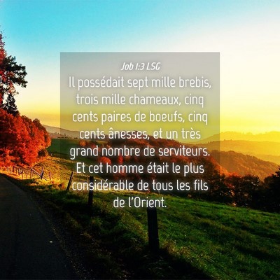 Picture 04 - Job 1:3 LSG - Il possédait sept mille brebis, trois mille - Bible Verse Picture