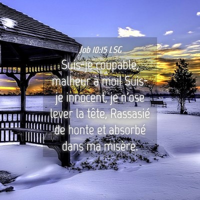Picture 04 - Job 10:15 LSG - Suis-je coupable, malheur à moi! Suis-je - Bible Verse Picture