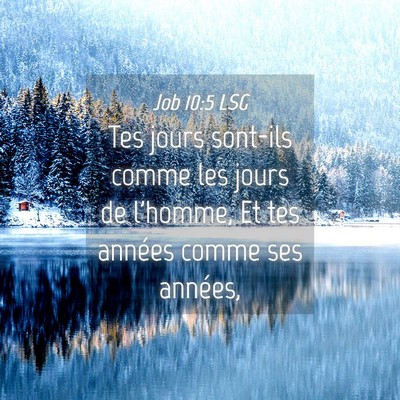 Picture 04 - Job 10:5 LSG - Tes jours sont-ils comme les jours de l'homme, Et - Bible Verse Picture
