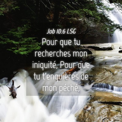 Picture 04 - Job 10:6 LSG - Pour que tu recherches mon iniquité, Pour que tu - Bible Verse Picture