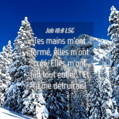 Picture 04 - Job 10:8 LSG - Tes mains m'ont formé, elles m'ont créé, Elles - Bible Verse Picture