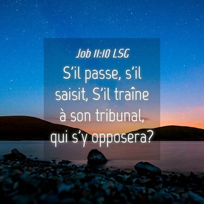 Picture 04 - Job 11:10 LSG - S'il passe, s'il saisit, S'il traîne à son - Bible Verse Picture