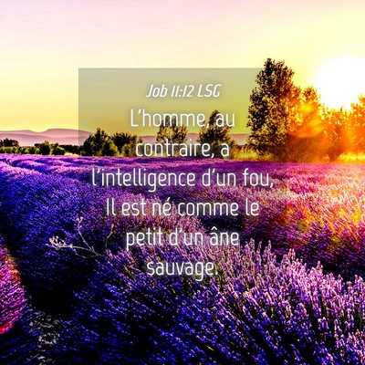 Picture 04 - Job 11:12 LSG - L'homme, au contraire, a l'intelligence d'un fou, - Bible Verse Picture