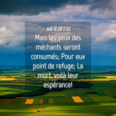 Picture 04 - Job 11:20 LSG - Mais les yeux des méchants seront consumés; - Bible Verse Picture