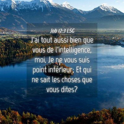 Picture 04 - Job 12:3 LSG - J'ai tout aussi bien que vous de l'intelligence, - Bible Verse Picture