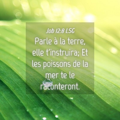 Picture 04 - Job 12:8 LSG - Parle à la terre, elle t'instruira; Et les - Bible Verse Picture