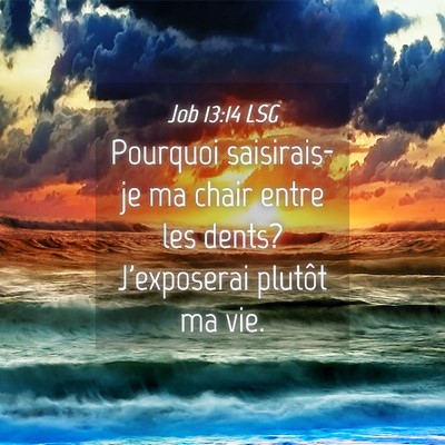 Picture 04 - Job 13:14 LSG - Pourquoi saisirais-je ma chair entre les dents? - Bible Verse Picture