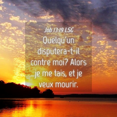Picture 04 - Job 13:19 LSG - Quelqu'un disputera-t-il contre moi? Alors je me - Bible Verse Picture