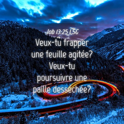 Picture 04 - Job 13:25 LSG - Veux-tu frapper une feuille agitée? Veux-tu - Bible Verse Picture