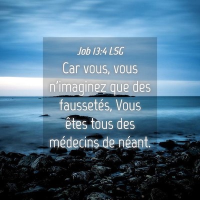 Picture 04 - Job 13:4 LSG - Car vous, vous n'imaginez que des faussetés, - Bible Verse Picture