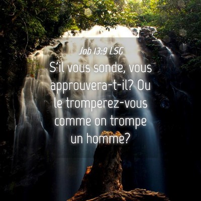Picture 04 - Job 13:9 LSG - S'il vous sonde, vous approuvera-t-il? Ou le - Bible Verse Picture