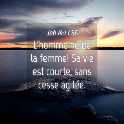 Picture 04 - Job 14:1 LSG - L'homme né de la femme! Sa vie est courte, sans - Bible Verse Picture