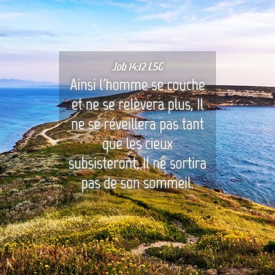 Picture 04 - Job 14:12 LSG - Ainsi l'homme se couche et ne se relèvera plus, - Bible Verse Picture