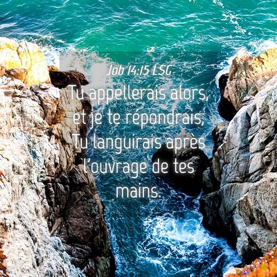 Picture 04 - Job 14:15 LSG - Tu appellerais alors, et je te répondrais, Tu - Bible Verse Picture