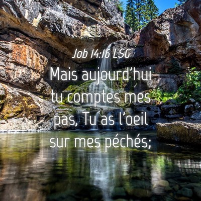 Picture 04 - Job 14:16 LSG - Mais aujourd'hui tu comptes mes pas, Tu as l'oeil - Bible Verse Picture