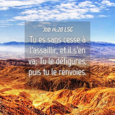 Picture 04 - Job 14:20 LSG - Tu es sans cesse à l'assaillir, et il s'en va; - Bible Verse Picture