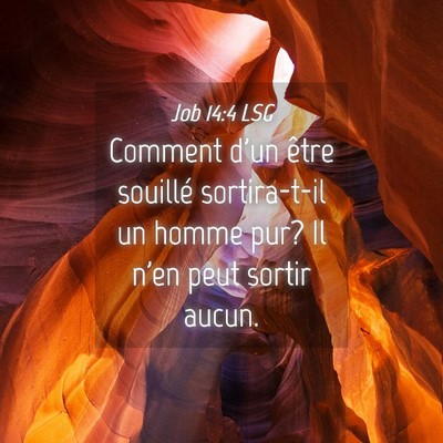 Picture 04 - Job 14:4 LSG - Comment d'un être souillé sortira-t-il un homme - Bible Verse Picture