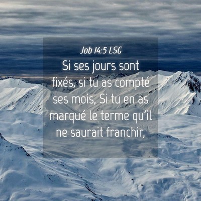 Picture 04 - Job 14:5 LSG - Si ses jours sont fixés, si tu as compté ses - Bible Verse Picture