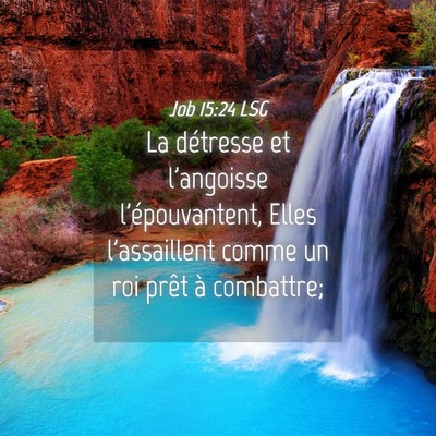 Picture 04 - Job 15:24 LSG - La détresse et l'angoisse l'épouvantent, Elles - Bible Verse Picture