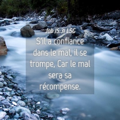 Picture 04 - Job 15:31 LSG - S'il a confiance dans le mal, il se trompe, Car - Bible Verse Picture