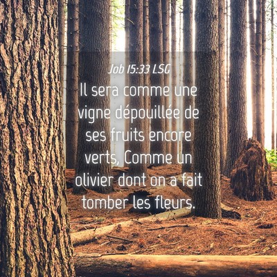 Picture 04 - Job 15:33 LSG - Il sera comme une vigne dépouillée de ses - Bible Verse Picture