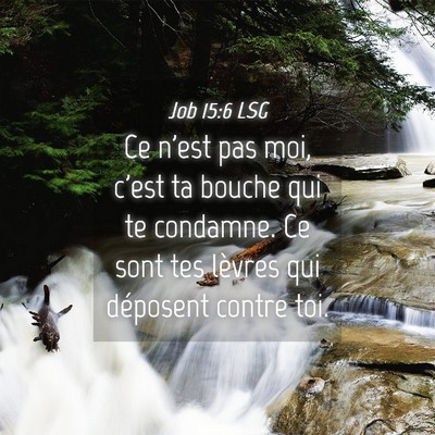 Picture 04 - Job 15:6 LSG - Ce n'est pas moi, c'est ta bouche qui te - Bible Verse Picture