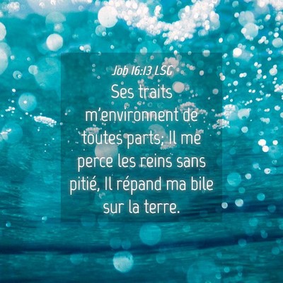 Picture 04 - Job 16:13 LSG - Ses traits m'environnent de toutes parts; Il me - Bible Verse Picture