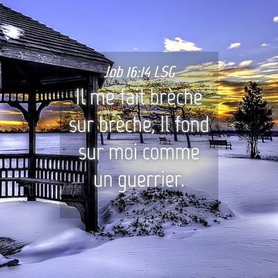 Picture 04 - Job 16:14 LSG - Il me fait brèche sur brèche, Il fond sur moi - Bible Verse Picture