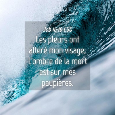 Picture 04 - Job 16:16 LSG - Les pleurs ont altéré mon visage; L'ombre de la - Bible Verse Picture