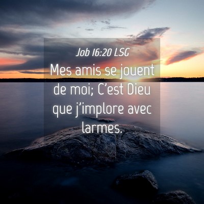 Picture 04 - Job 16:20 LSG - Mes amis se jouent de moi; C'est Dieu que - Bible Verse Picture