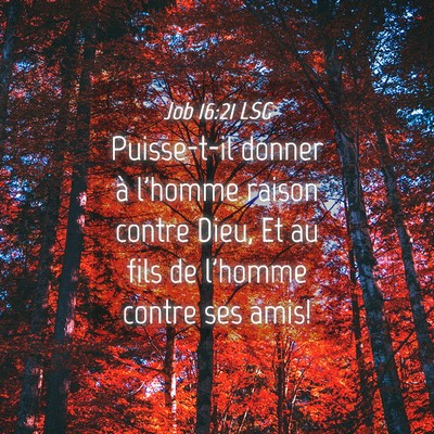 Picture 04 - Job 16:21 LSG - Puisse-t-il donner à l'homme raison contre Dieu, - Bible Verse Picture
