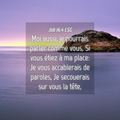 Picture 04 - Job 16:4 LSG - Moi aussi, je pourrais parler comme vous, Si vous - Bible Verse Picture