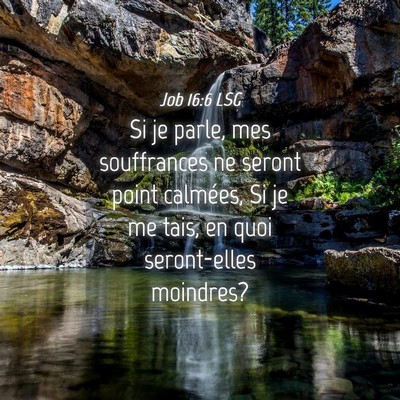 Picture 04 - Job 16:6 LSG - Si je parle, mes souffrances ne seront point - Bible Verse Picture