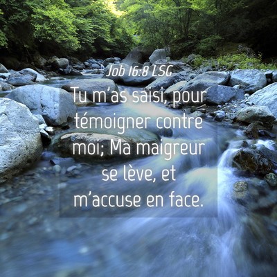 Picture 04 - Job 16:8 LSG - Tu m'as saisi, pour témoigner contre moi; Ma - Bible Verse Picture