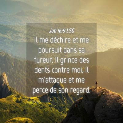 Picture 04 - Job 16:9 LSG - Il me déchire et me poursuit dans sa fureur, Il - Bible Verse Picture