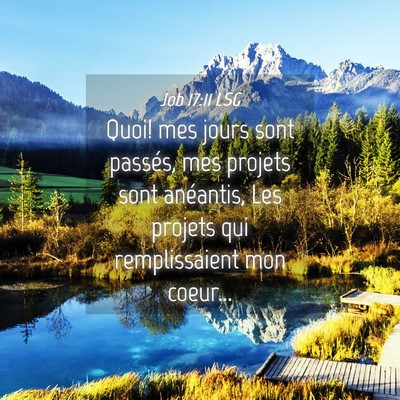 Picture 04 - Job 17:11 LSG - Quoi! mes jours sont passés, mes projets sont - Bible Verse Picture