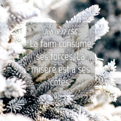 Picture 04 - Job 18:12 LSG - La faim consume ses forces, La misère est à ses - Bible Verse Picture