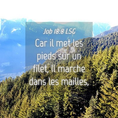Picture 04 - Job 18:8 LSG - Car il met les pieds sur un filet, Il marche dans - Bible Verse Picture