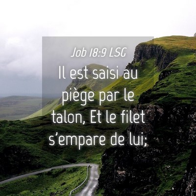 Picture 04 - Job 18:9 LSG - Il est saisi au piège par le talon, Et le filet - Bible Verse Picture