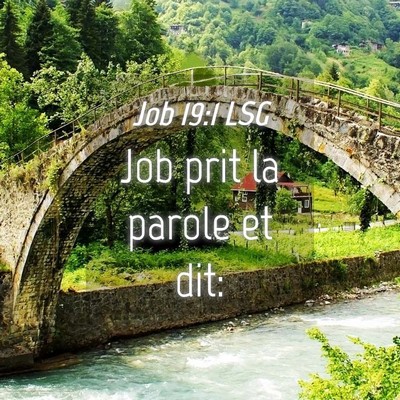 Picture 04 - Job 19:1 LSG - Job prit la parole et - Bible Verse Picture
