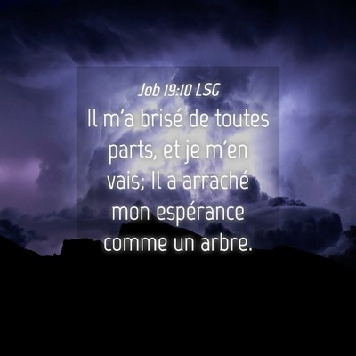 Picture 04 - Job 19:10 LSG - Il m'a brisé de toutes parts, et je m'en vais; - Bible Verse Picture