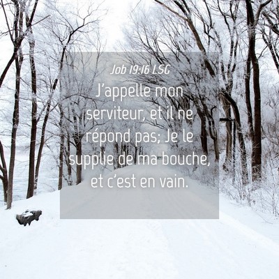 Picture 04 - Job 19:16 LSG - J'appelle mon serviteur, et il ne répond pas; Je - Bible Verse Picture