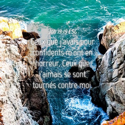 Picture 04 - Job 19:19 LSG - Ceux que j'avais pour confidents m'ont en - Bible Verse Picture