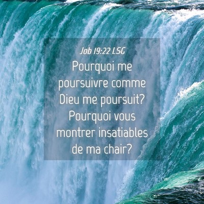 Picture 04 - Job 19:22 LSG - Pourquoi me poursuivre comme Dieu me poursuit? - Bible Verse Picture