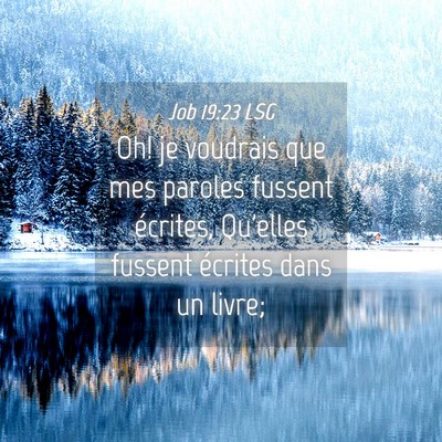 Picture 04 - Job 19:23 LSG - Oh! je voudrais que mes paroles fussent écrites, - Bible Verse Picture